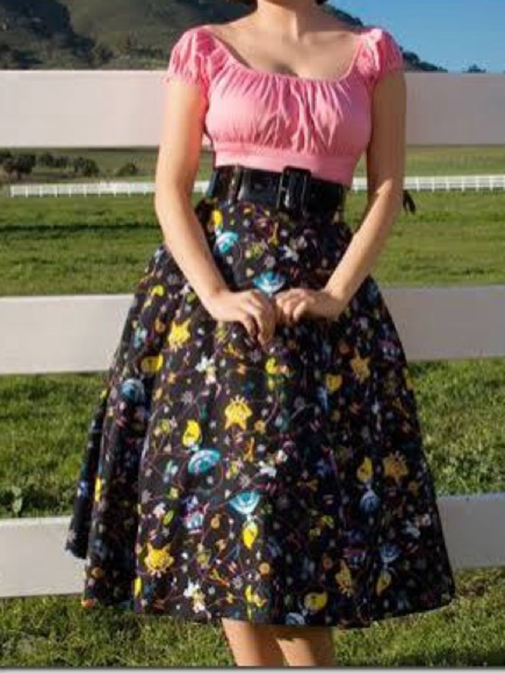 Pinup Couture “Alice in Wonderland” Jenny Skirt by Stephanie Buscema